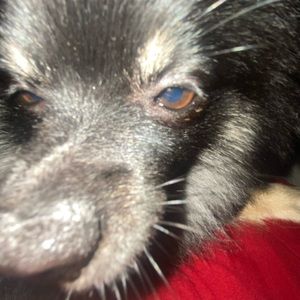 Meet your Posher, Leah